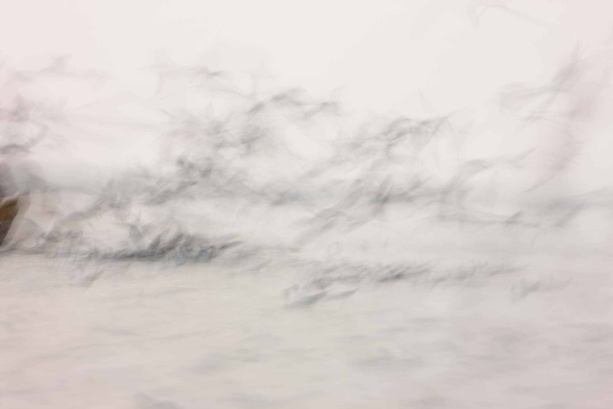 Il Grande Nibbio, 2010, Ed. 1_6+2Pa 100×150 cm_